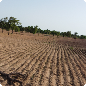 Pratique Agroécologique